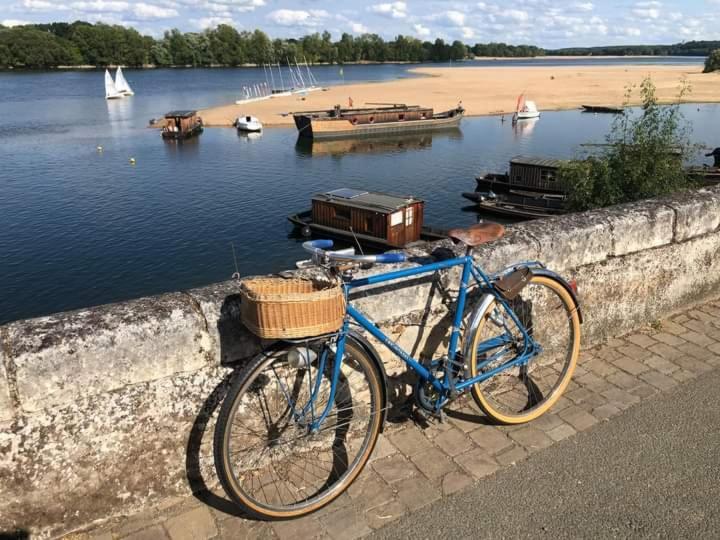 B&B Cote Loire Les Rosiers Eksteriør billede